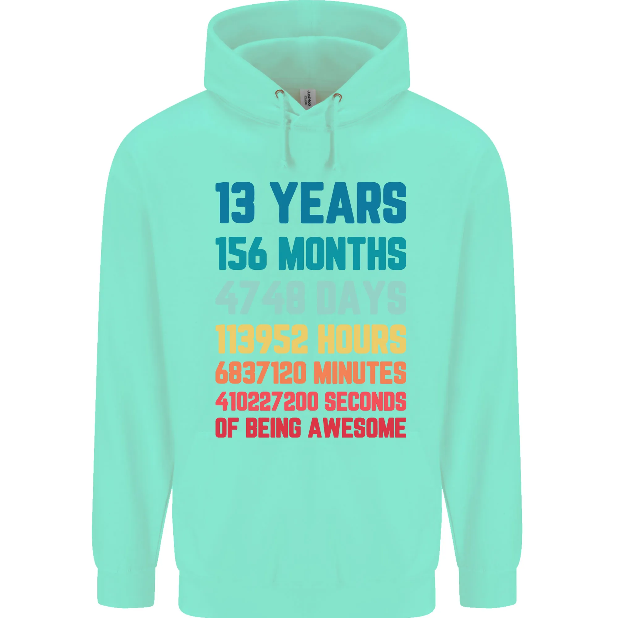 13th Birthday 13 Year Old Childrens Kids Hoodie