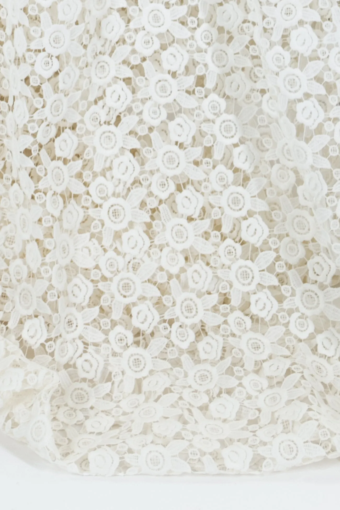 Ariel Lace