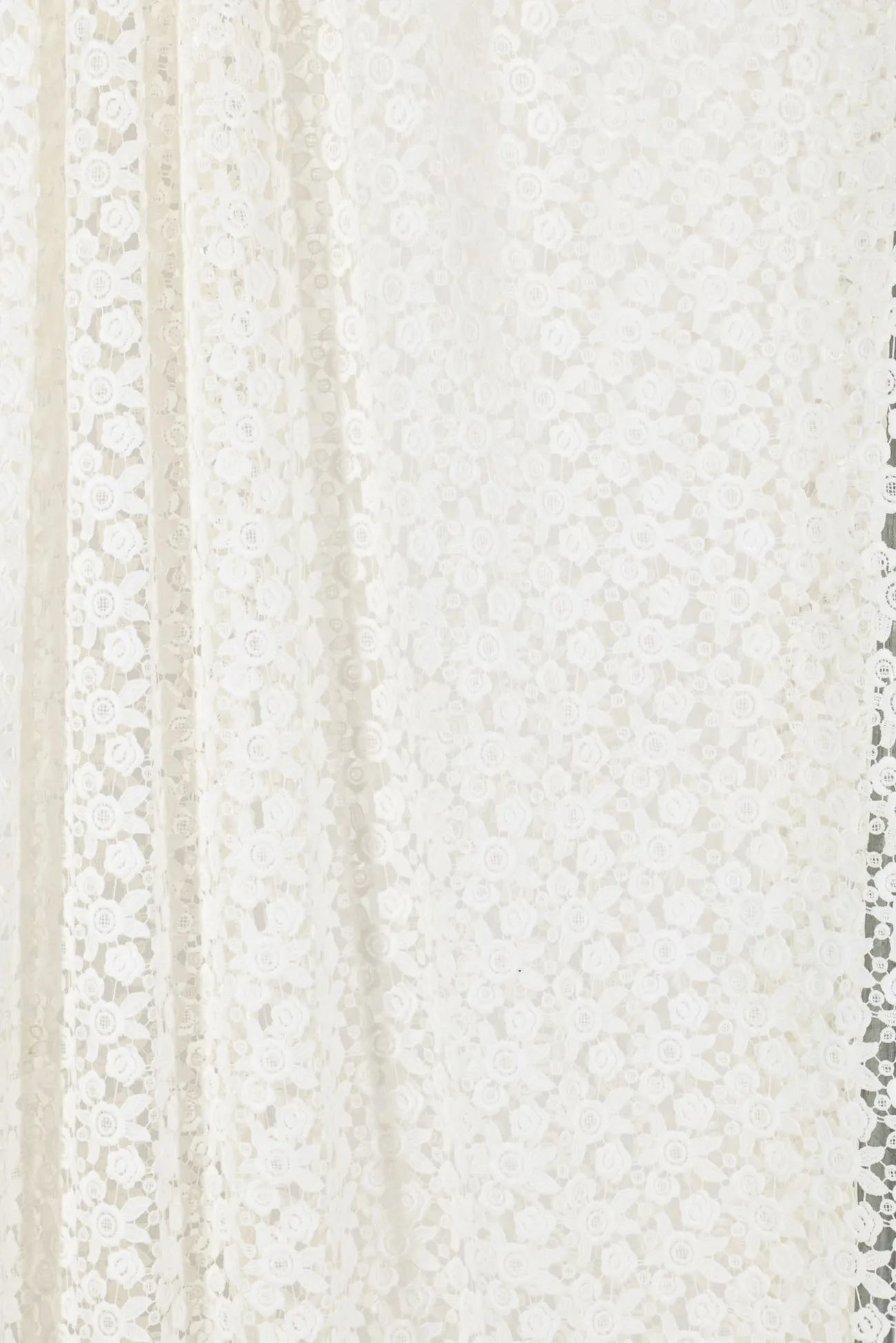 Ariel Lace