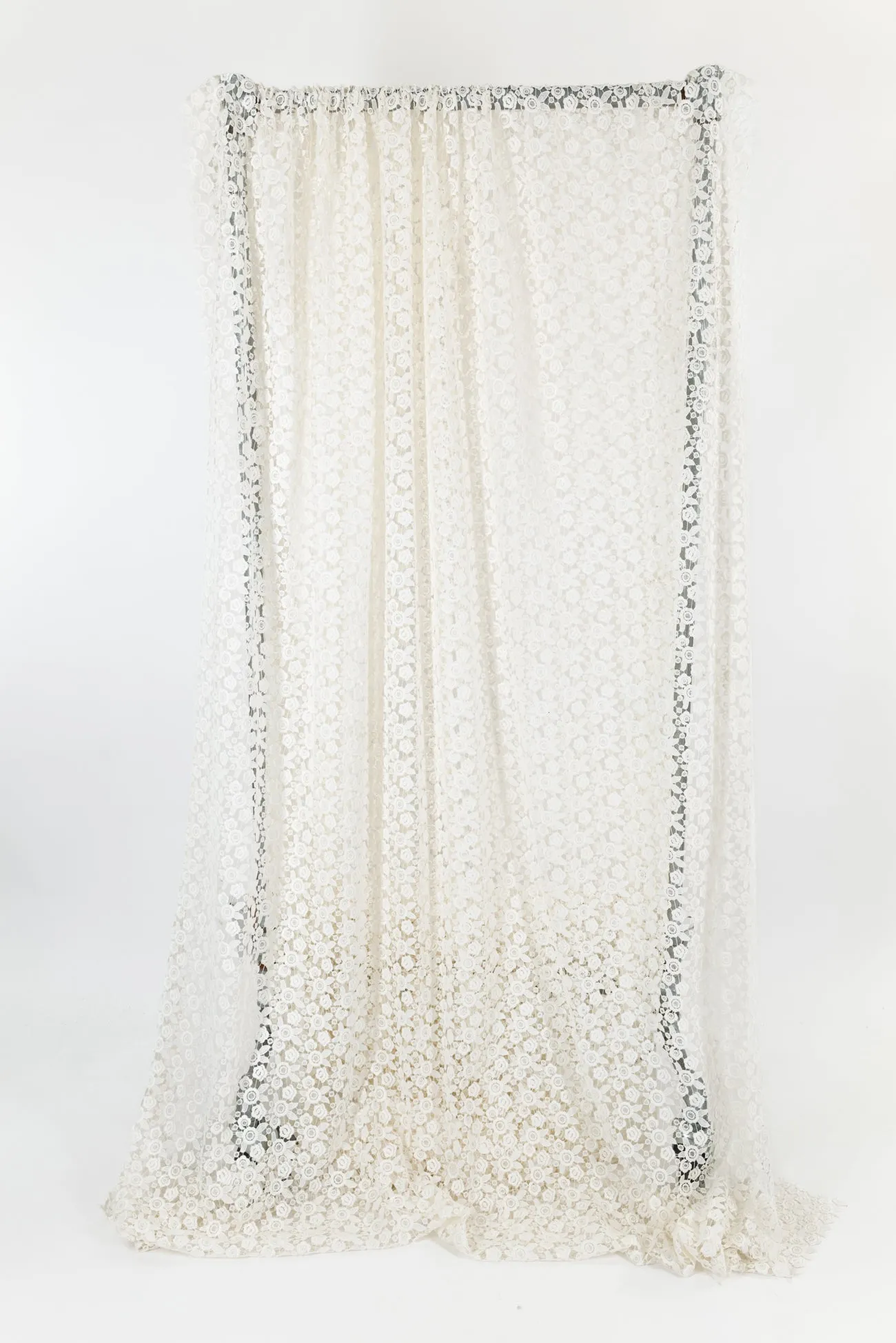 Ariel Lace